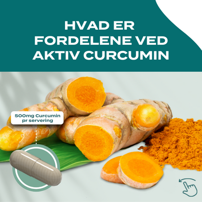 Fordelene ved aktivt curcumin