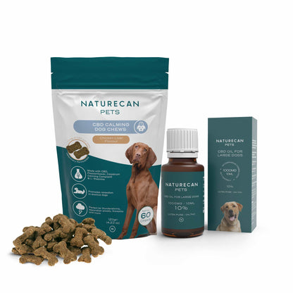 Beroligende CBD-pakke til hunde 10%